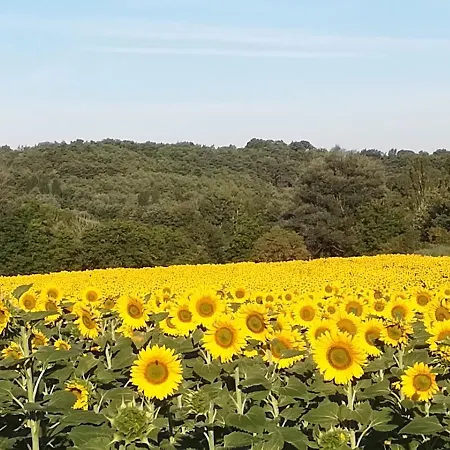 Hébergement de vacances Belle Provence *